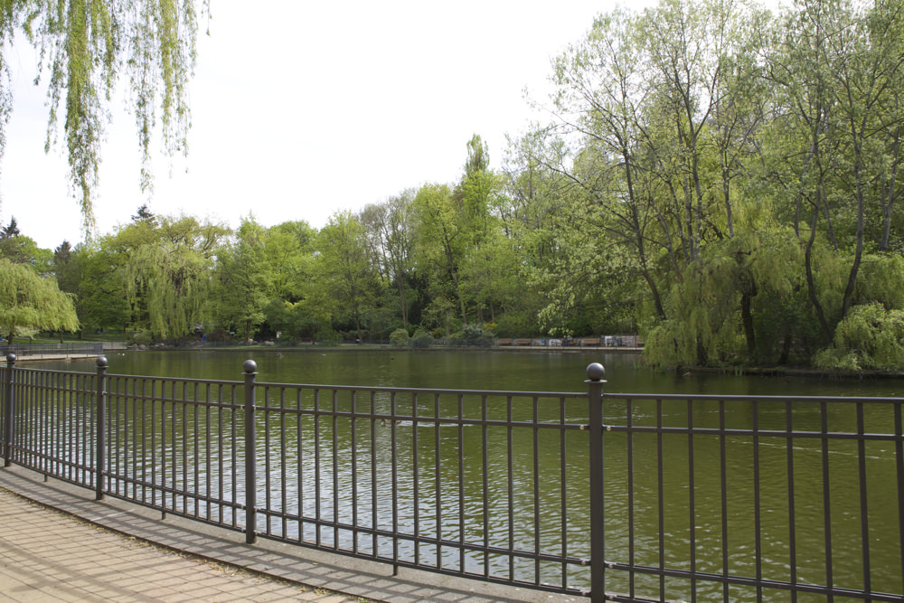 Volkspark Friedrichshain - Grosser Teich