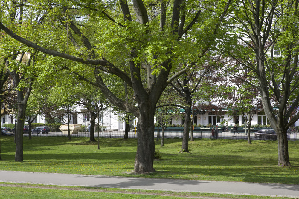 Volkspark Friedrichshain - Restaurant Qadmous - Aussicht vom Park Baum - Weg